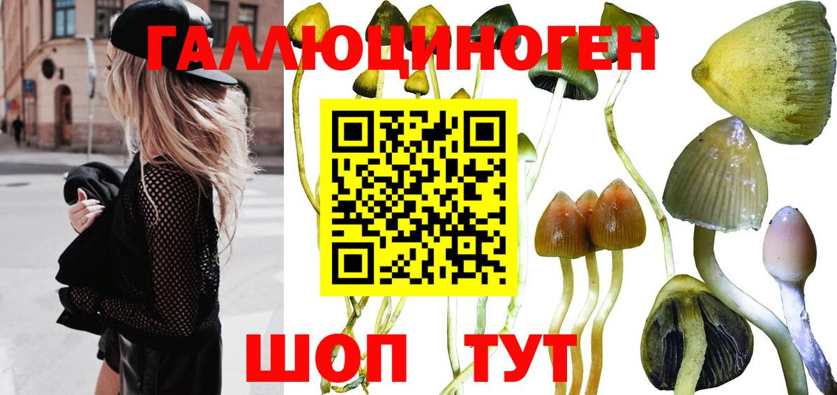 Псилоцибиновые грибы Magic Shrooms Муром