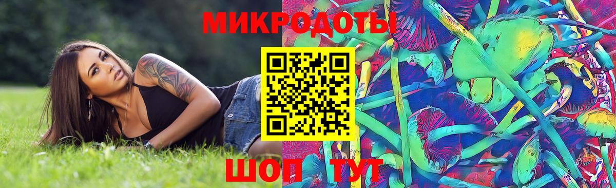 Муром  Псилоцибиновые грибы GOLDEN TEACHER  Вход с VPN  Галлюциногенные грибы Psilocybine cubensis 